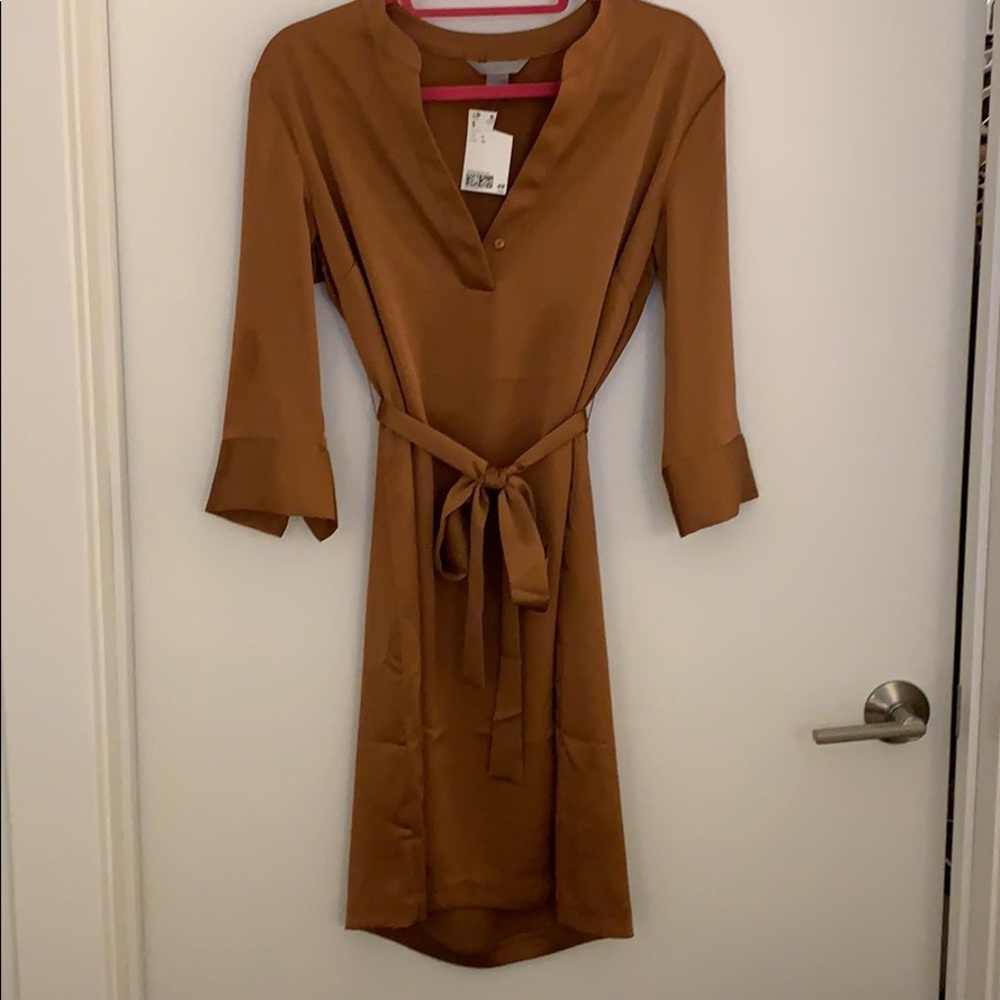 Tan/Gold Dress